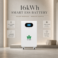 51,2V 314Ah LiFePO4 Wand- oder Bodenbatterie 16kWh mit BMS CAN RS485 WiFi-Überwachung EU-Lager für Solar-Heimenergiespeicherung