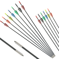Vente directe fabricant : Flèche en fibre de verre de 6 mm pour arc classique, pointe en acier, pour tir à l'arc et chasse, vente en gros