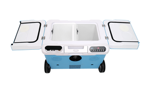 נייד Comping מקרר 12v 36L רכב מקרר עם מדחס גלגל dc רכב cooler עבור משאית קרוון RV עם CE/RoHS/GS - Product Image 3