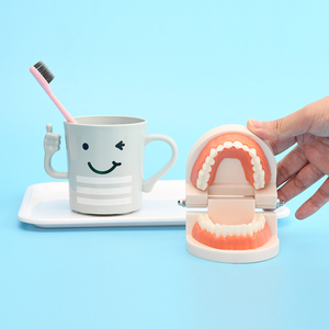 Estudio directo de fábrica <span class=keywords><strong>dentista</strong></span> anatómico oral cariado diente común enfermedades dentales modelo de comparación - Product Image 5