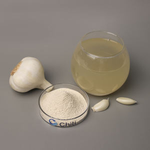 Poudre d'<span class=keywords><strong>ail</strong></span> biologique végétalienne Nutrition verte Superfood poudre d'<span class=keywords><strong>ail</strong></span> séchée à froid poudre de <span class=keywords><strong>concentré</strong></span> d'<span class=keywords><strong>ail</strong></span> de croissance durable - Product Image 2