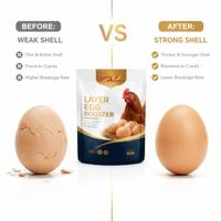 Additif alimentaire pour améliorer la production et la qualité des œufs de poule, prémélange avicole haute performance, prix d'usine