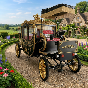Offre Spéciale : Carrosse Royal de Luxe Noir et Or, Idéal pour les Processions de Mariage et les Visites Touristiques - Product Image 1