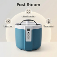 Vapor de sauna doméstica de 2,0 L de capacidad, generador de vapor portátil, adecuado para SPA doméstico, calentador de sauna, olla de acero inoxidable con T