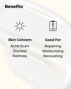 Crème Visage à la Mucine d'<span class=keywords><strong>Escargot</strong></span> Coréenne en Marque Blanche - Hydratation Longue Durée et Soin Apaisant pour l'Hydratation du Visage et le Confort de la Peau - Product Image 5