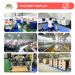 Nhà máy cung cấp Đỏ Táo tàu Trung Quốc đóng băng khô ngày đỏ cho trà - Product Image 6