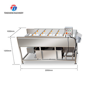 Laveuse Professionnelle Industrielle pour Pommes de Terre, Gingembre, Fruits, Tomates, Carottes et Dattes - Product Image 2
