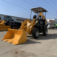Vendita calda caricatore terne 4x4 fattoria cinese utilizzato 1 ton 2 tonnellate mini terne mini loader in vendita
