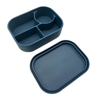 Biologisch afbreekbare siliconen vierkante lunchbox met compartimenten, afsluitbaar, magnetronbestendig, milieuvriendelijke fruitcontainer