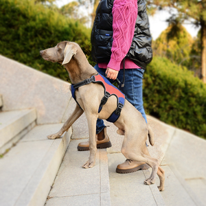 Vpetbr 2025 OEM Halti French Bull Sling Carrier Harnais de chien réglable en acier inoxydable et cuir tactique avec système de sécurité détachable - Product Image 6