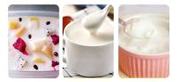 Pasteurisateur de lait de qualité supérieure 20 litres avec refroidissement par eau