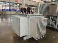 Transformateur de distribution immergé dans l'huile 100kVA 1/10/0 kv