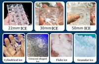 Fabricant de glace en cubes de grande capacité 1000 kg par jour, prix au Cameroun, mini-machine à glaçons domestique de 40 kg, 100 kg