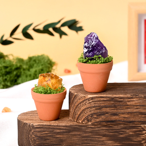 Nouveau Produit : Cadeaux de spécimens minéraux naturels, pierres brutes de cristal, roches de bonsaï pour la guérison et la décoration - Product Image 5