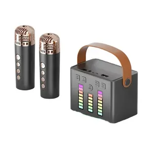 가족 Ktv 파티 BT USB TF 카드 AUX Led 무선 홈 미니 블루투스를 장식 두 마이크와 Q-2 휴대용 노래방 스피커