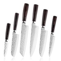 Vente en gros 6pcs Set de Couteaux de Cuisine Set de Couteaux en Acier Inoxydable Set d'Outils avec Bois de Pakka