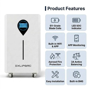 16kWh LiFePO4 Floor <b>Standing</b> Battery 51.2V 314Ah EV Blade Cells 8000 <b>Cycles</b> WiFi APP Solar Home Energy Storage ESS - Product Image 2