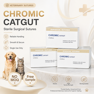 Suturas <span class=keywords><strong>de</strong></span> Catgut Crómico Veterinario <span class=keywords><strong>de</strong></span> Alta Calidad, Hilo Quirúrgico Absorbible Estéril para Mascotas - Product Image 2