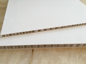 Fiber <span class=keywords><strong>de</strong></span> <span class=keywords><strong>verre</strong></span> PP nid d'abeille <span class=keywords><strong>panneau</strong></span> sandwich - Product Image 4