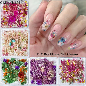 Nuevas flores secas Nail Art Charms Mixed Tianxing Sunflower Real Flower Nail Decoration DIY Dry Flower Nail Charms - Product Image 1