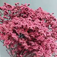 Geconserveerde bloemen Eeuwigdurend Limonium (Kristalgras) Arrangement Bloemboeket DIY Bruiloft Valentijnsdag Moederdag Kerstmis Huis