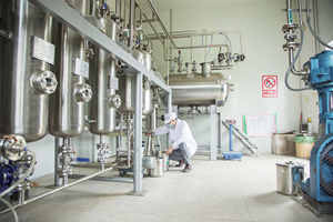 Aceite Esencial de Salvia Claria 100% Puro para el Cuidado de la Piel, el Cabello, Aromaterapia, Difusor, Masaje, Velas, Jabón, Perfume, Aceite de Salvia, Proveedor de Fábrica - Product Image 5