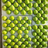 Chinese verse rode Fuji Gala groene gele Huaniu appels, hoge kwaliteit appels groothandel Manzana Pomme Apel Segar Ringo aanbieding