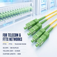 Kabel Patch Fiber Optik Aktif LC/LC Duplex Multimode Aqua dengan Logo Kustom ODM untuk Pusat Data/Panel Patch SAN Storage