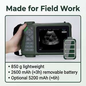 Échographe vétérinaire portable robuste Dawei pour diagnostic de gestation multi-animaux avec 4 Go de mémoire – Vente en gros usine - Product Image 5