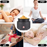 Offre Spéciale – Diffuseur de Cire Parfumée Électrique 2-en-1 en Céramique Noir Mat pour Décoration d'Intérieur – Vente en Gros