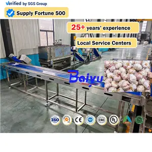 Línea de producción de polvo de ajo y cebolla Baiyu, línea de producción de dientes de ajo, máquina peladora de cebolla y ajo, línea de producción