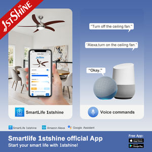 ผู้ผลิตพัดลมเพดาน 1stshine ชุดไฟเพดานดีไซน์ทันสมัยแบบติดตั้งต่ำระดับประเทศ - Product Image 6