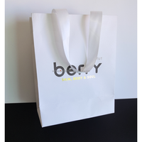 NW21 Sac en papier bon marché de petite taille Sacs en papier à provisions d'impression noire de ruban de luxe pour sac en papier kraft blanc