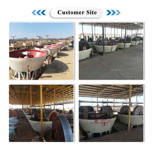 เครื่องบดแบบล้อคู่สำหรับงานเหมืองทองขนาดเล็ก - Product Image 2