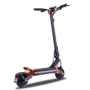 Mukuta 8 Plus Electric Scooter For Adult 8 Inch 48V 15.6Ah High Speed Electric Scooters 1200W Electric Scooters Suppliers