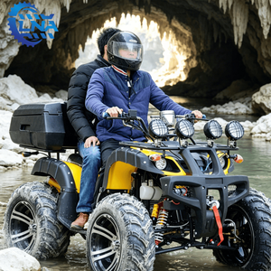 รถ<span class=keywords><strong>เอ</strong></span>ที<span class=keywords><strong>วี</strong></span> LNA รุ่น Utility Style สำหรับขายในฝรั่งเศส เครื่องยนต์ 300 ซีซี 4 จังหวะ สำหรับการท่องเที่ยว - Product Image 1