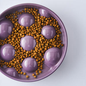 مصدر المصنع عالية الجودة مورد الحيوانات الأليفة السيراميك الغذاء الحيوانات الأليفة وعاء بطيء منع الكلاب خانق صحية يتباطئ طبق الأكل - Product Image 1