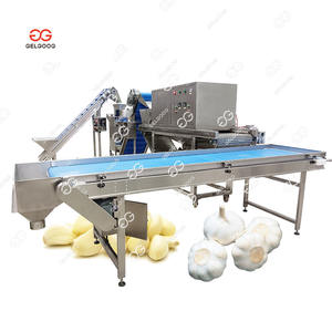 Máquina Peladora de Ajo Comercial Totalmente Automática, Línea de Procesamiento de Pelado de Ajo Completamente Automática - Product Image 2