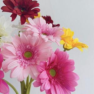 Flor de Gerbera Artificial de Látex de Tallo Único, Venta al por Mayor, Blanca y Amarilla, para Decoración de Navidad, Graduación, Día de la Madre y Bodas - Product Image 3