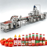 Ligne de production de jus de tomate. Usine complète de transformation de tomates, machine de remplissage de purée et de jus de tomates