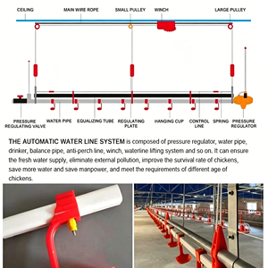 <span class=keywords><strong>Abreuvoir</strong></span> automatique pour poulets, ligne d'abreuvement automatique, <span class=keywords><strong>abreuvoir</strong></span> pour poulets, élevage de volailles - Product Image 4