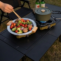 Réchaud de camping à gaz double brûleur en acier inoxydable coupe-vent, pliable, pour pique-nique en extérieur, cuisson pour 3-5 personnes