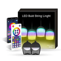 Tuya Wifi Smart Music Sync Diy – guirlande lumineuse à commande segmentée adressable individuellement, lampes de fête d'extérieur pour fête