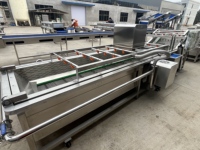 ZHUO YU Hoge Druk Automatische Reinigingsmachine voor Groenten en Fruit met Luchtbelletjes voor Fabrieken