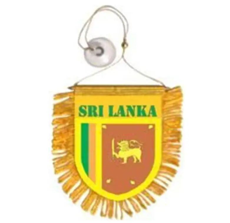 Alta calidad personalizada Sri Lanka Mini Banner 6 ''x 4'' Banderín 15x10 cm Mini Banners 4x6 pulgadas Ventosa Percha