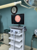 Système de caméra d'endoscope médical IKEDA YKD-9006 FHD pour les procédures ORL