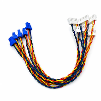 Conectores Macho-Hembra de Par Trenzado Multicolor Personalizados, Arnés de Cables para Dispositivos Electrónicos