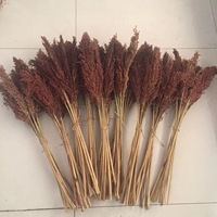 Vente en gros d'arrangements floraux pour la décoration de fête Sésame Orge Sorgho Fleurs sèches pour l'obtention du diplôme Saint Valentin Coton