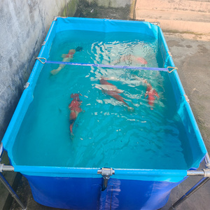 Équipement d'aquaculture agricole, bassins d'élevage de poissons en PVC, bâche <span class=keywords><strong>pour</strong></span> bassin à poissons, <span class=keywords><strong>pour</strong></span> la <span class=keywords><strong>culture</strong></span> des poissons - Product Image 2