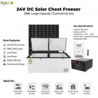 Заводская цена Tunto Green Power 24В Коммерческий солнечный морозильный ларь 450-1088 л, 2-3 двери, компрессорное охлаждение R134a, солнечные панели